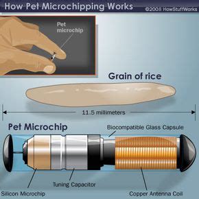 how to erase a pet rfid chip|how to remove microchip from pet.